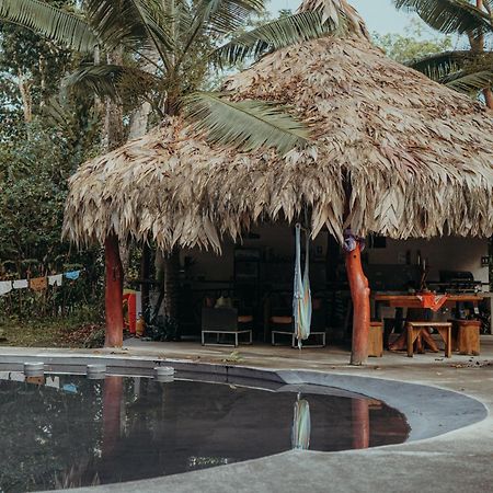 Casa De Los Amigos Caribena Cahuita Bagian luar foto