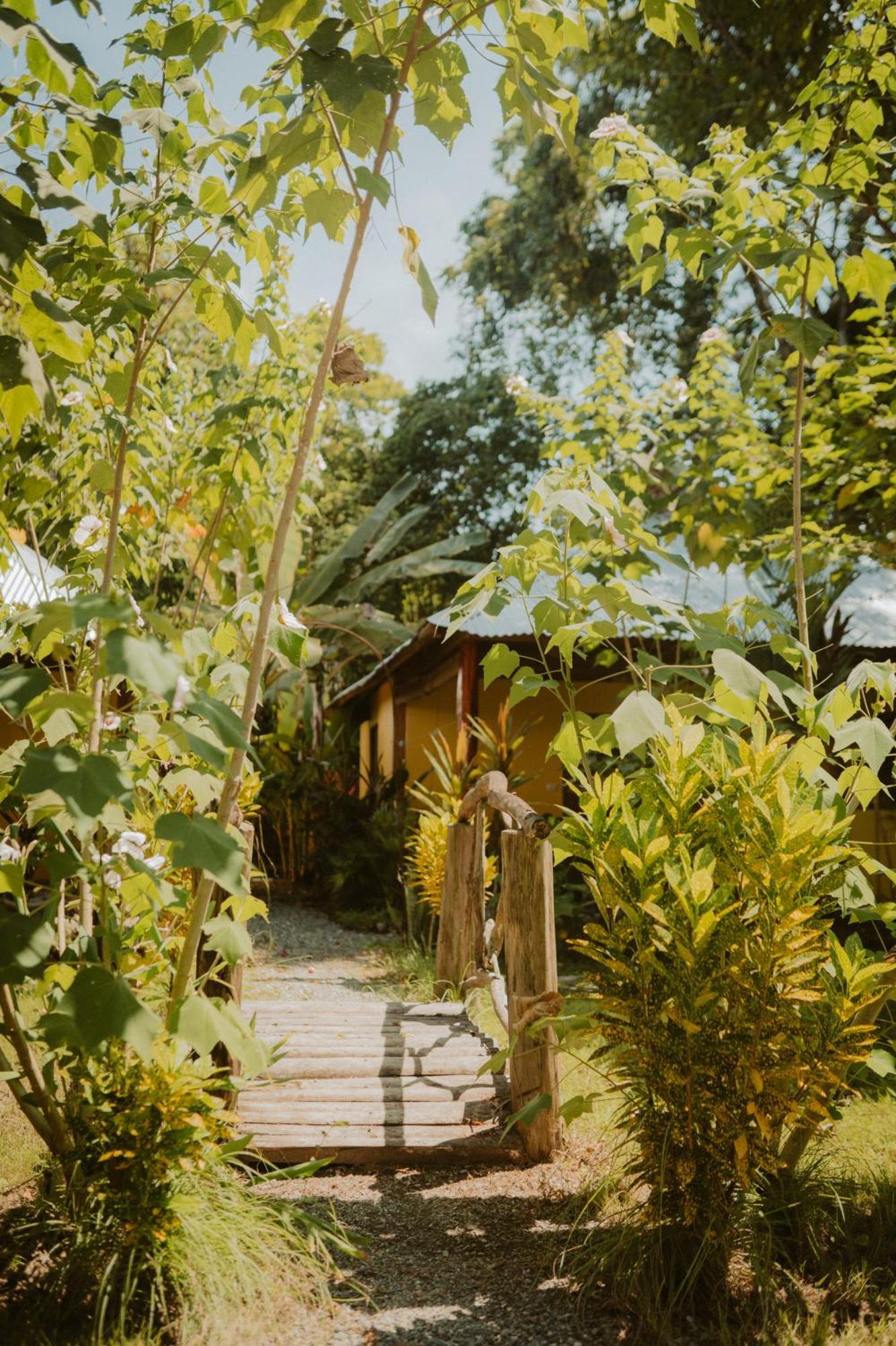 Casa De Los Amigos Caribena Cahuita Bagian luar foto